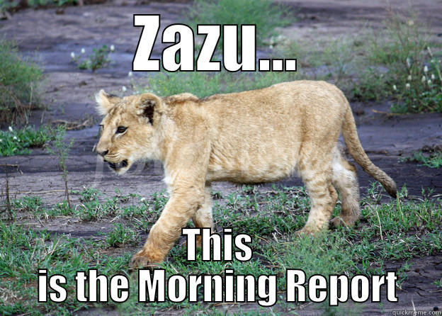 morning report - ZAZU... THIS IS THE MORNING REPORT Misc