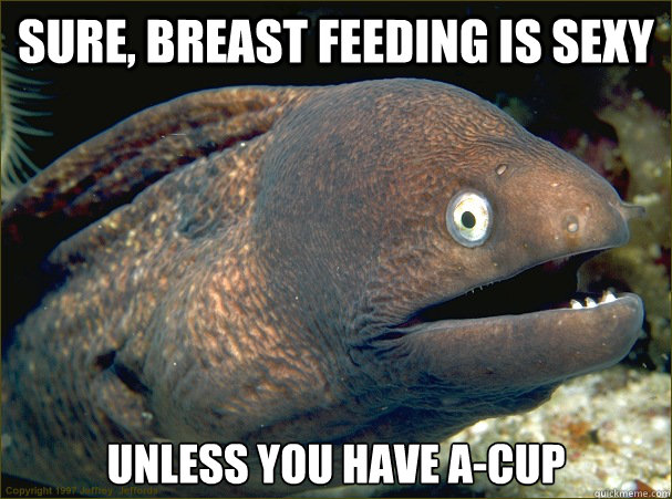 sure, breast feeding is sexy Unless you have a-cup  Bad Joke Eel