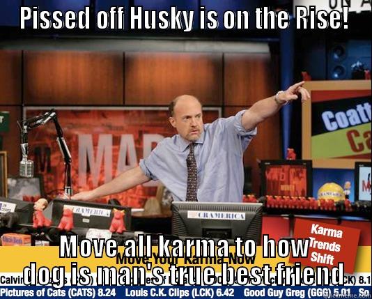 PISSED OFF HUSKY IS ON THE RISE! MOVE ALL KARMA TO HOW DOG IS MAN'S TRUE BEST FRIEND Mad Karma with Jim Cramer