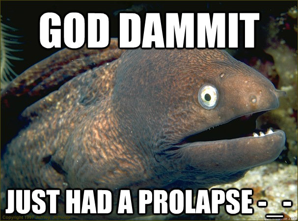 god dammit just had a prolapse -_- - god dammit just had a prolapse -_-  Bad Joke Eel