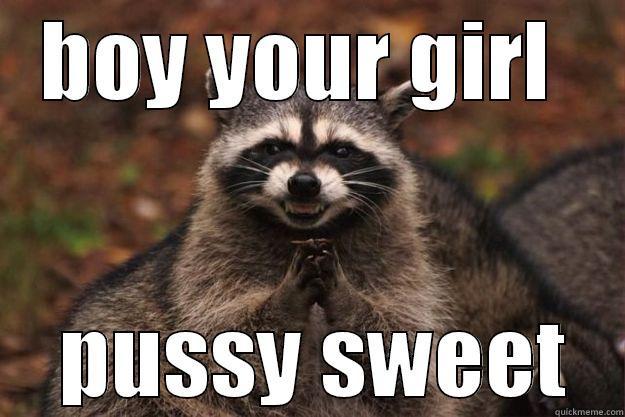 BOY YOUR GIRL   PUSSY SWEET Evil Plotting Raccoon