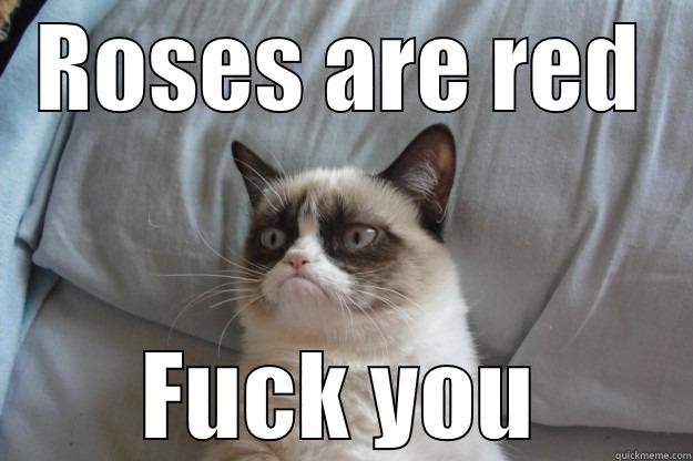 Valentines Grumpy Meme Thingy - ROSES ARE RED FUCK YOU Grumpy Cat