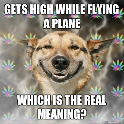 Gets high while flying a plane Which is the real meaning?  Stoner Dog