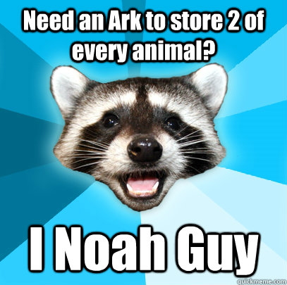 Need an Ark to store 2 of every animal? I Noah Guy   Lame Pun Coon