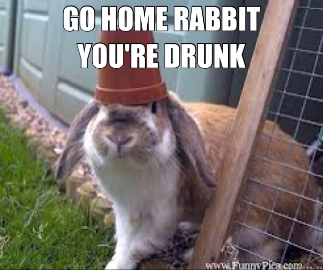 GO HOME RABBIT                                YOU'RE DRUNK   