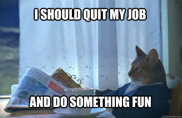 I should quit my job and do something fun - I should quit my job and do something fun  Sophisticated Cat