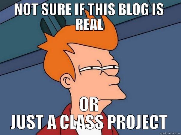 NOT SURE IF THIS BLOG IS REAL OR JUST A CLASS PROJECT Futurama Fry