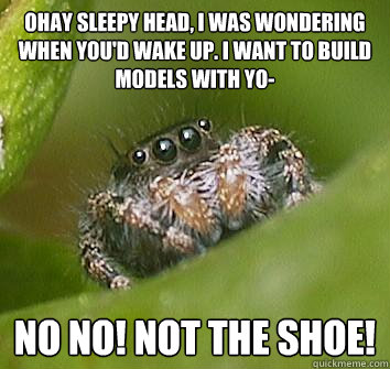 Ohay sleepy head, I was wondering when you'd wake up. I want to build models with yo- no no! not the shoe!  Misunderstood Spider