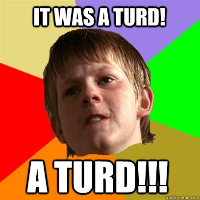 IT WAS A TURD! A TURD!!!  Angry School Boy