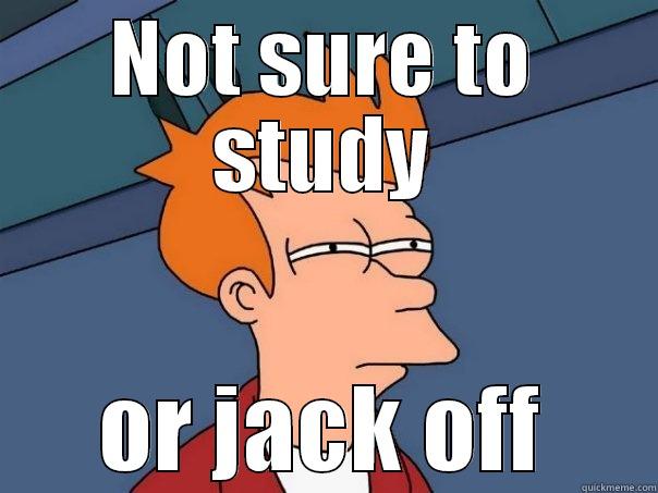 NOT SURE TO STUDY OR JACK OFF Futurama Fry