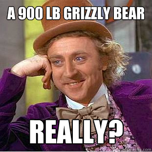 A 900 lb Grizzly Bear Really? - A 900 lb Grizzly Bear Really?  Creepy Wonka