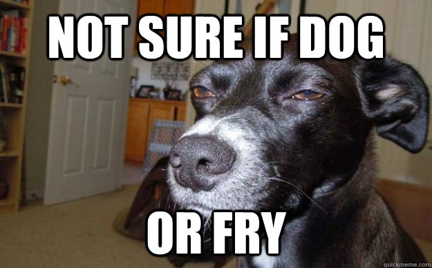 Not sure if dog or fry  Skeptical Mutt