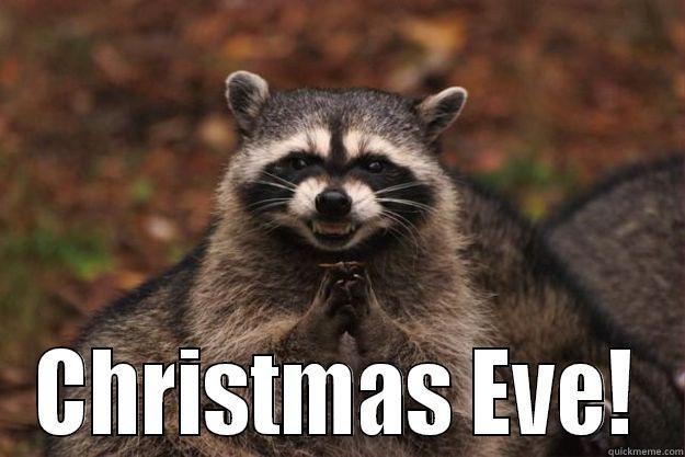When to schedule this move....  -  CHRISTMAS EVE! Evil Plotting Raccoon