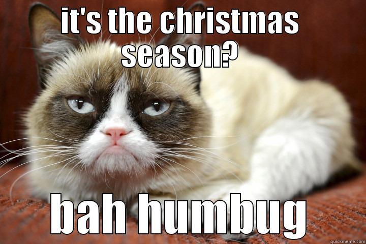 christmas grump cat - IT'S THE CHRISTMAS SEASON? BAH HUMBUG Misc