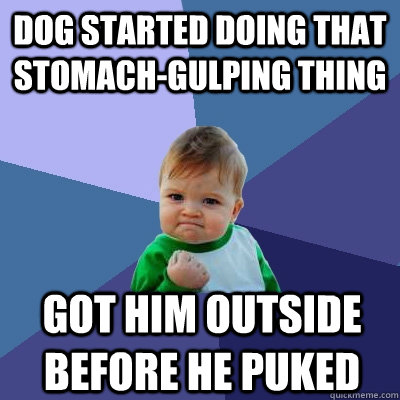 dog started doing that stomach-gulping thing Got him outside before he puked - dog started doing that stomach-gulping thing Got him outside before he puked  Success Kid