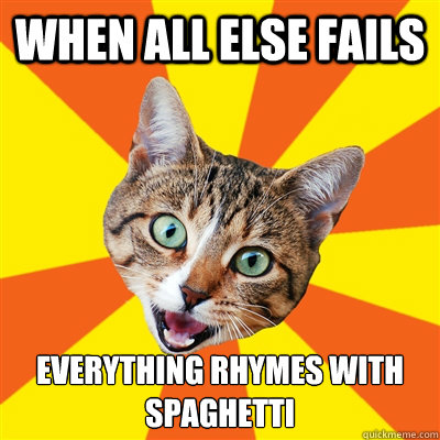 When all else fails everything rhymes with Spaghetti   Bad Advice Cat