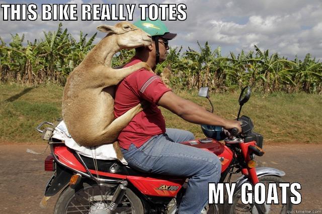 THIS BIKE REALLY TOTES                                                                                             MY GOATS Misc