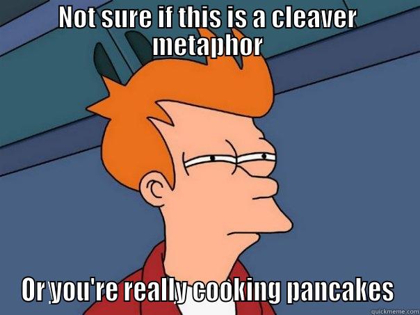 NOT SURE IF THIS IS A CLEAVER METAPHOR OR YOU'RE REALLY COOKING PANCAKES Futurama Fry