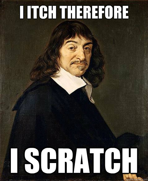 I Itch therefore I scratch - I Itch therefore I scratch  Descartes