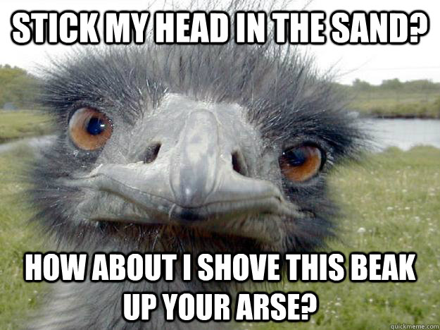 Stick my head in the sand? How about I shove this beak up your arse? - Stick my head in the sand? How about I shove this beak up your arse?  Aggro Emu