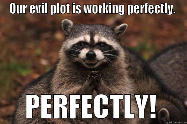 OUR EVIL PLOT IS WORKING PERFECTLY. PERFECTLY! Evil Plotting Raccoon