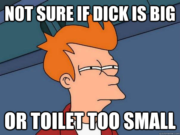 Not sure if dick is big Or toilet too small  Futurama Fry