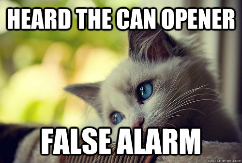 Heard the can opener false alarm  First World Problems Cat