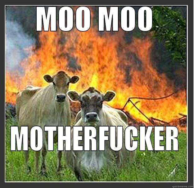 MOO MOO - MOO MOO MOTHERFUCKER Evil cows