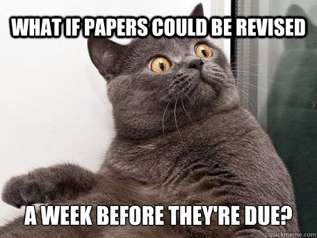 what if papers could be revised a week before they're due?  conspiracy cat