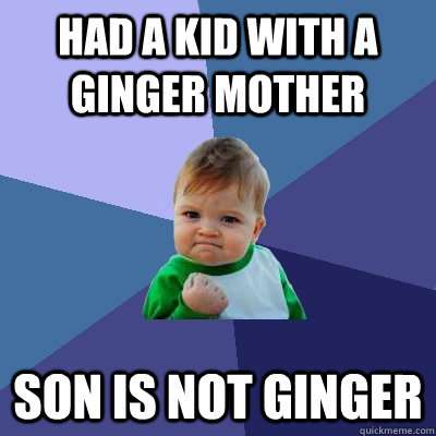 Had a kid with a Ginger Mother Son is not Ginger  Success Kid