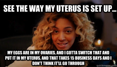 See the way my uterus is set up... My eggs are in my ovaries, and i gotta switch that and put it in my uterus, and that takes 15 business days and I don't think it'll go through - See the way my uterus is set up... My eggs are in my ovaries, and i gotta switch that and put it in my uterus, and that takes 15 business days and I don't think it'll go through  Beyonce Fake Baby Excuse