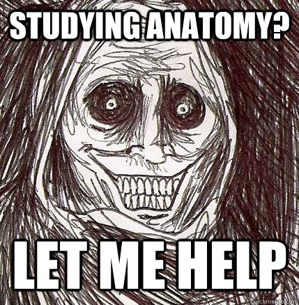 Studying anatomy? LET ME HELP - Studying anatomy? LET ME HELP  Horrifying Houseguest
