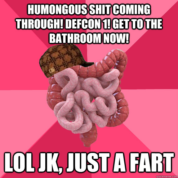 humongous shit coming through! defcon 1! get to the bathroom now! lol jk, just a fart  Scumbag Intestines