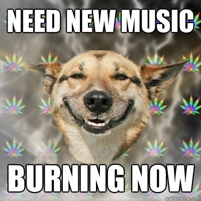 Need new music Burning now  Stoner Dog