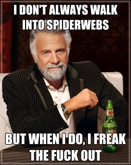 I don't always walk into spiderwebs but when I do, I freak the fuck out  The Most Interesting Man In The World