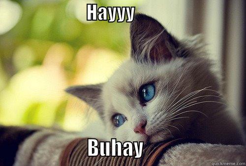 ye ye yeh! -                         HAYYY                                                       BUHAY                          First World Problems Cat