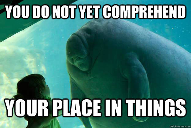 You do not yet comprehend  your place in things - You do not yet comprehend  your place in things  Overlord Manatee