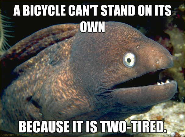 A bicycle can't stand on its own 
 because it is two-tired. - A bicycle can't stand on its own 
 because it is two-tired.  Bad Joke Eel