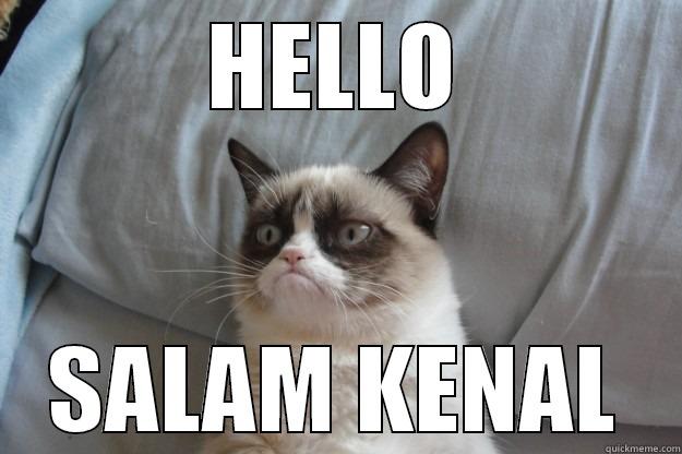 HELLO SALAM KENAL Grumpy Cat