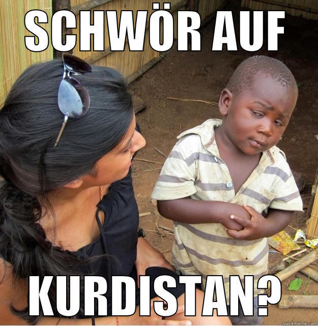 german funny meme - SCHWÖR AUF KURDISTAN? Skeptical Third World Kid