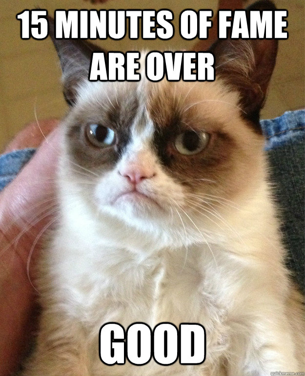 15 Minutes of Fame are Over Good  Grumpy Cat