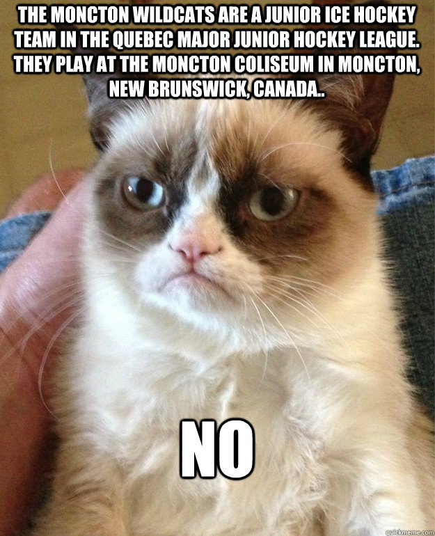 The Moncton Wildcats are a junior ice hockey team in the Quebec Major Junior Hockey League. They play at the Moncton Coliseum in Moncton, New Brunswick, Canada.. NO  Grumpy Cat