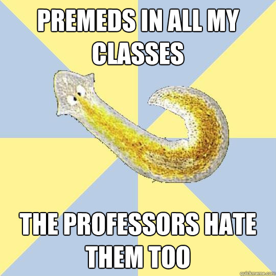 Premeds in all my classes the professors hate them too  Bio Major Planarian