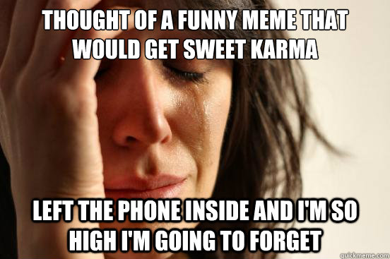 thought of a funny meme that would get sweet karma left the phone inside and i'm so high i'm going to forget - thought of a funny meme that would get sweet karma left the phone inside and i'm so high i'm going to forget  First World Problems