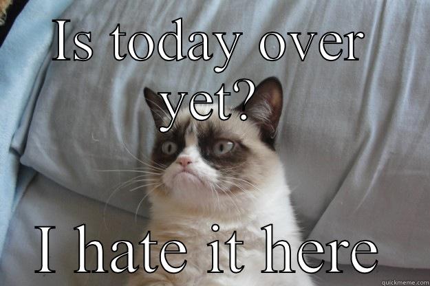 IS TODAY OVER YET? I HATE IT HERE Grumpy Cat