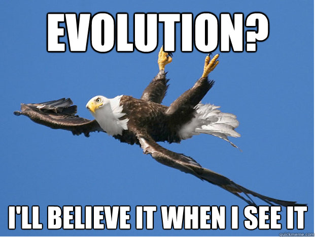 Evolution? I'll believe it when i see it - Evolution? I'll believe it when i see it  Misc