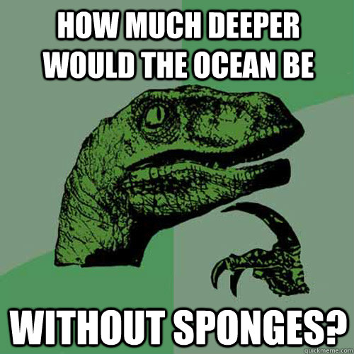 How much deeper would the ocean be without sponges?  Philosoraptor