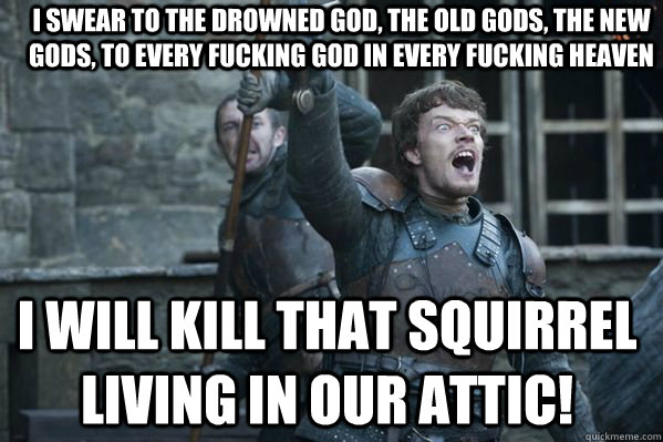 I swear to the drowned god, the old gods, the new gods, to every fucking god in every fucking heaven i will kill that squirrel living in our attic!  Theon Greyjoy