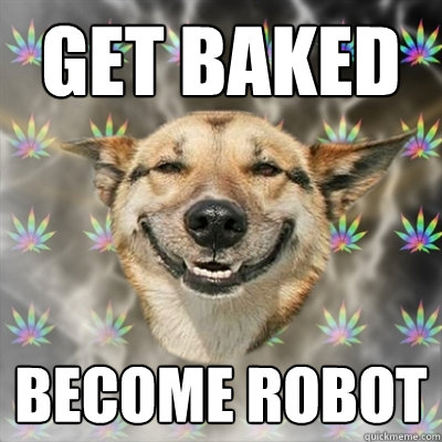 get baked  become robot   Stoner Dog