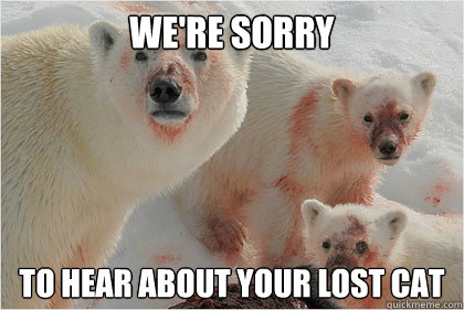 We're sorry To hear about your lost cat  Bad News Bears